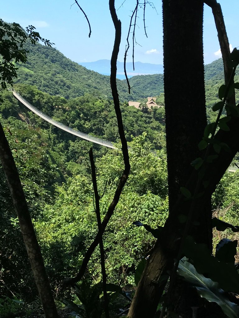 the bridge.jpeg