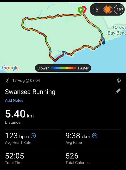 Screenshot_20250819_132159_Garmin Connect.jpg