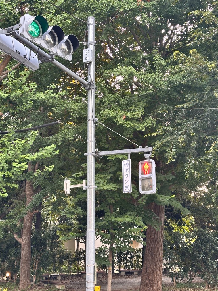 IMG_7864.jpeg