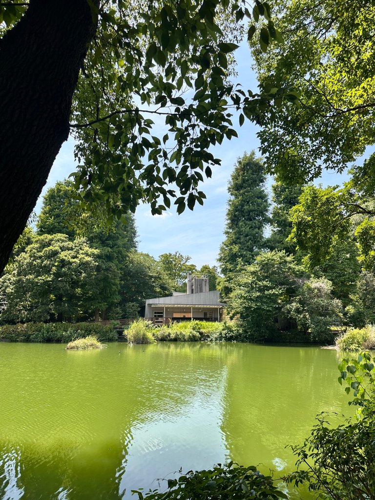 IMG_9301.jpeg