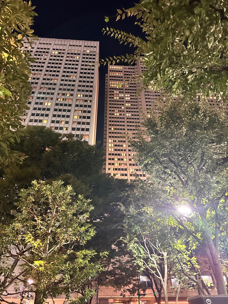 IMG_7874.jpeg