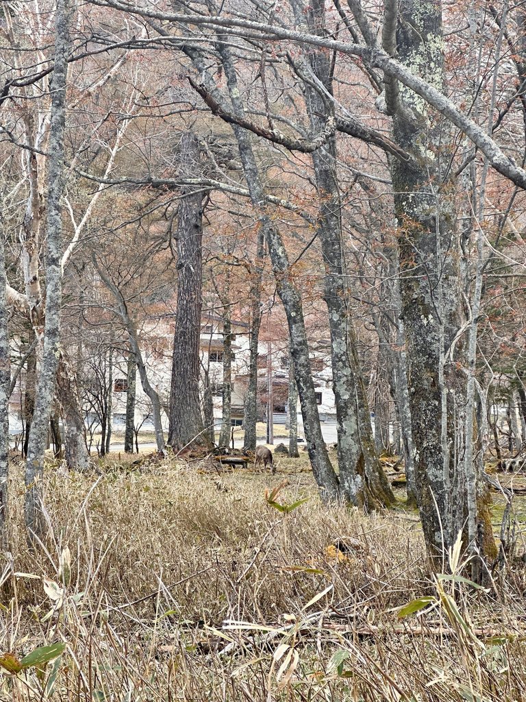 IMG_6779.jpg