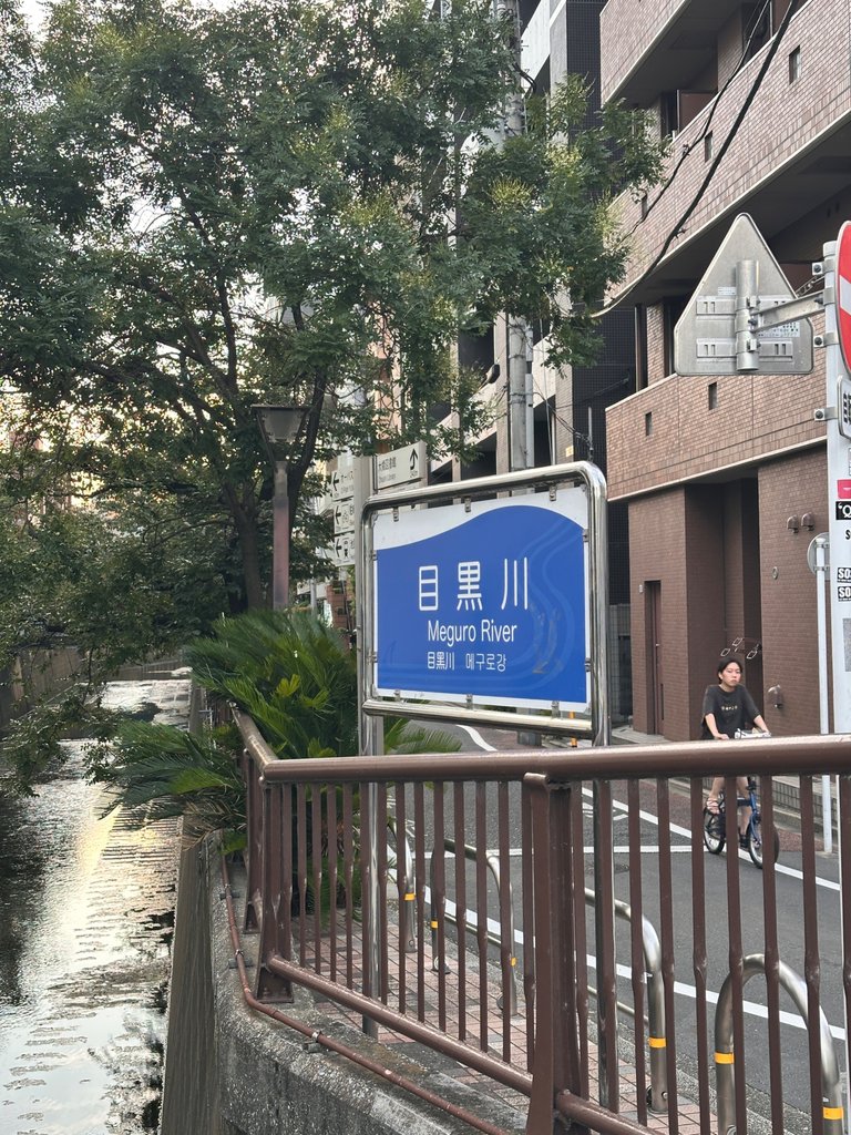 IMG_7867.jpeg