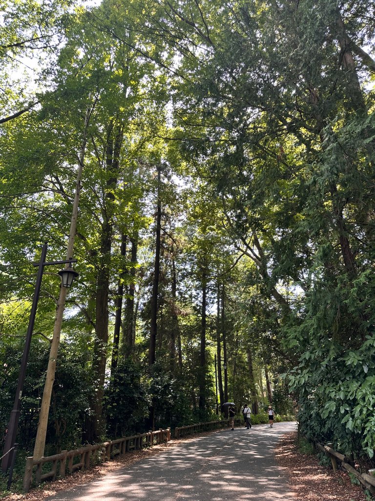 IMG_9307.jpeg