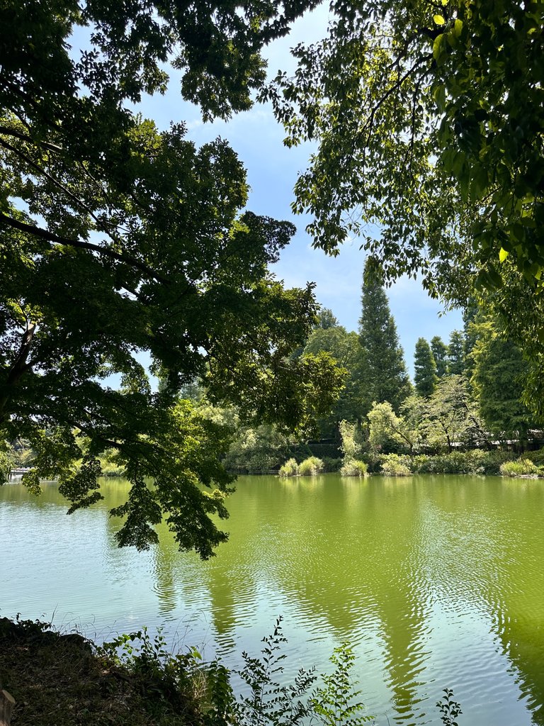 IMG_9300.jpeg