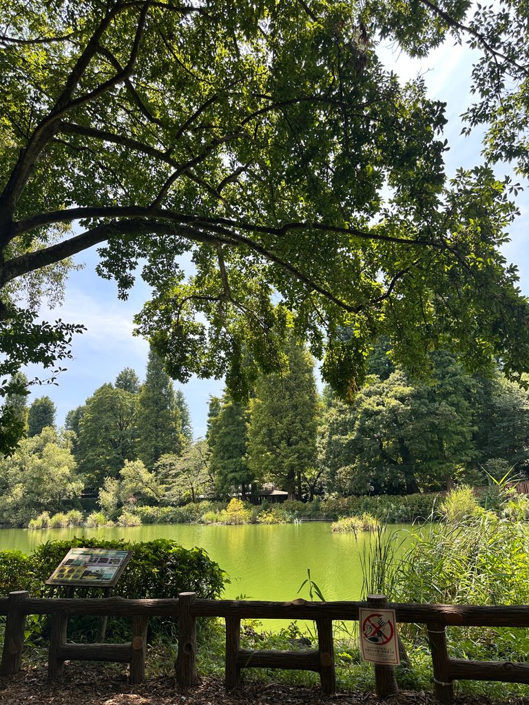 IMG_9302.jpeg
