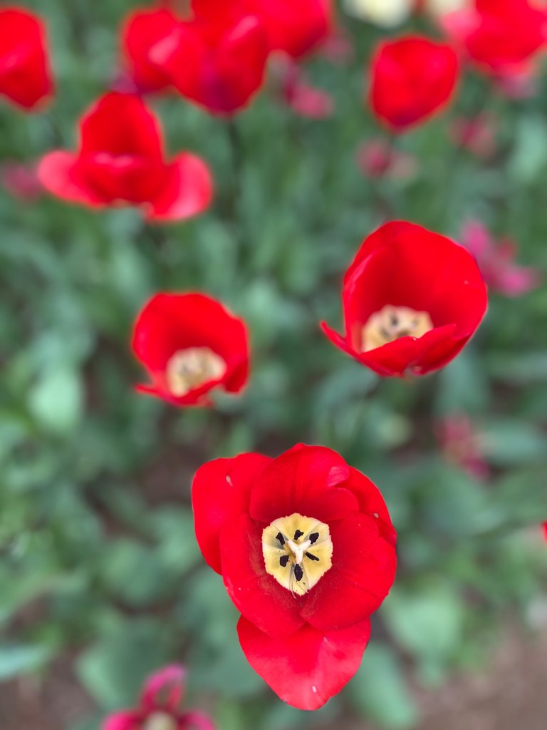 IMG_5701.jpeg