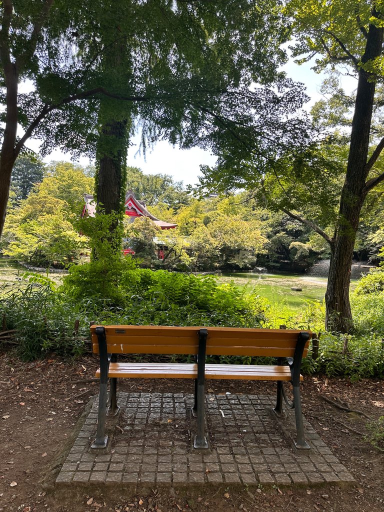 IMG_9308.jpeg