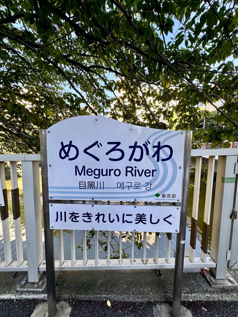 IMG_8019.jpeg