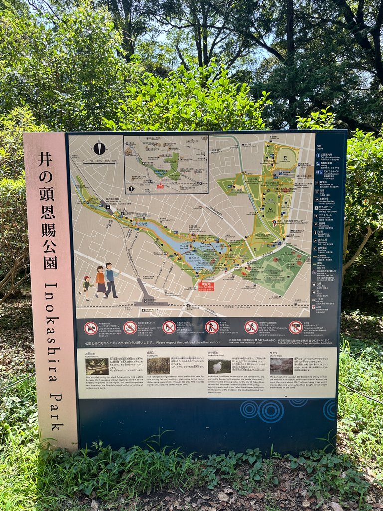 IMG_9295.jpeg