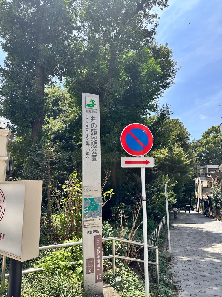 IMG_9294.jpeg