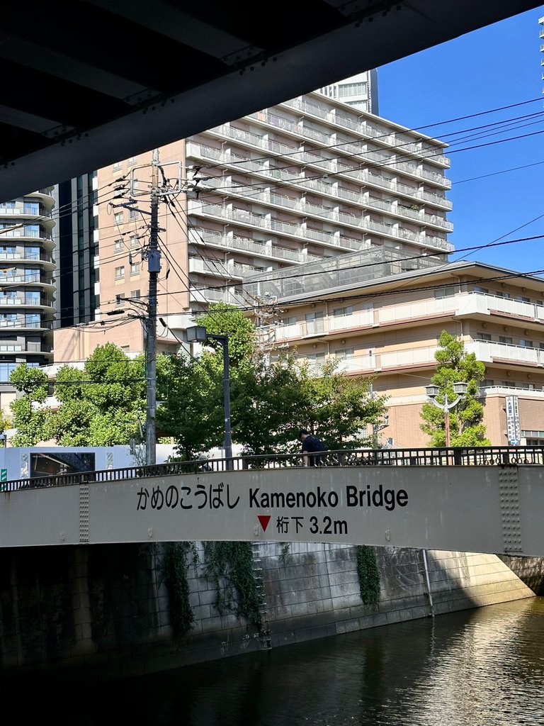 IMG_8013.jpeg