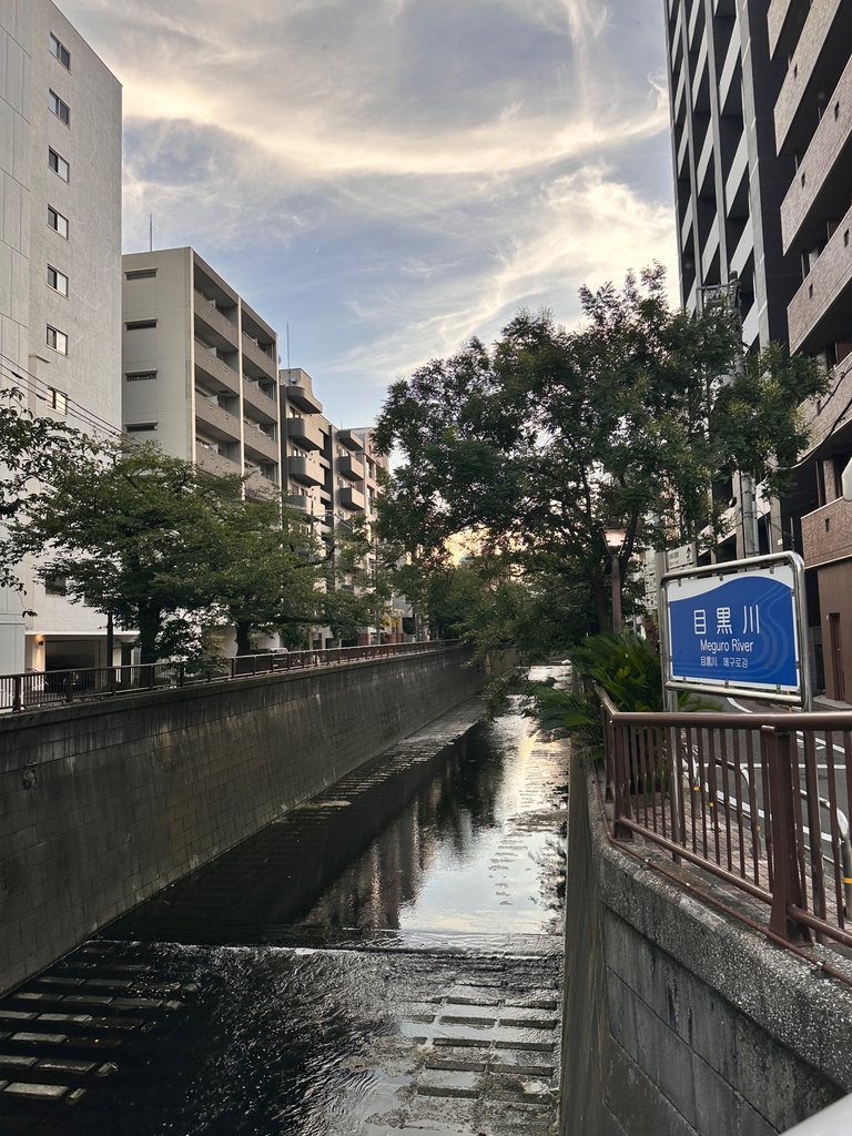 IMG_7869.jpeg