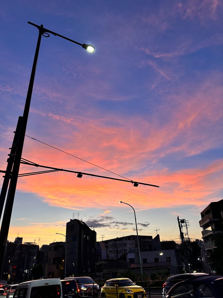 IMG_7872.jpeg
