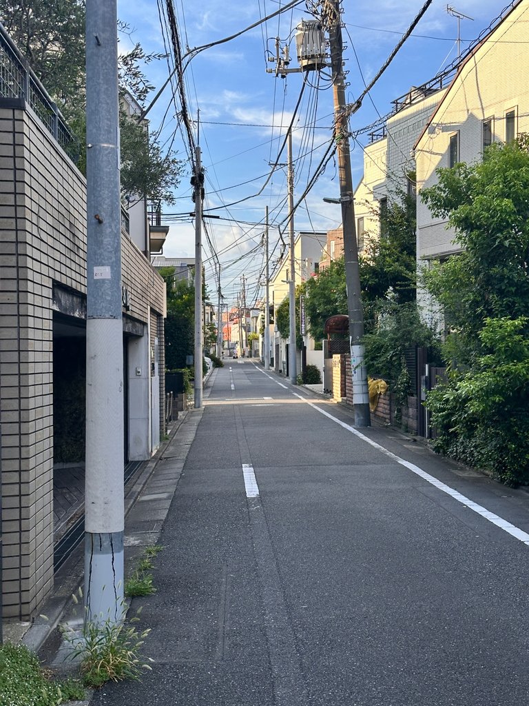 IMG_7857.jpeg