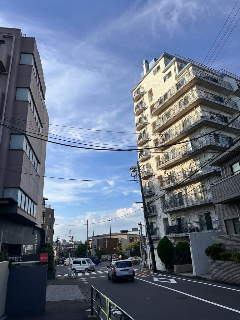 IMG_7855.jpeg