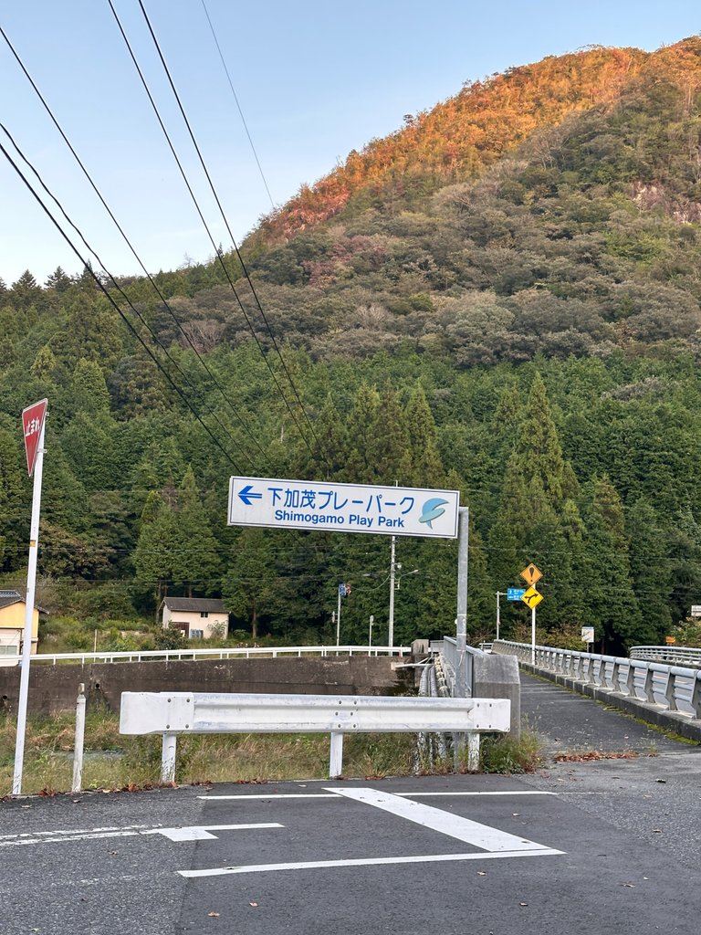 IMG_3973.jpeg