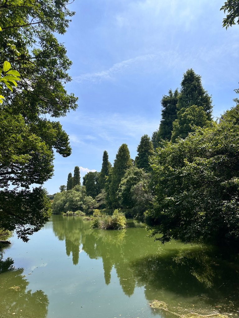 IMG_9305.jpeg
