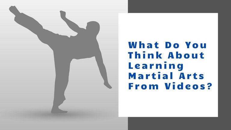 What Do You Think About Learning Martial Arts From Videos .jpg