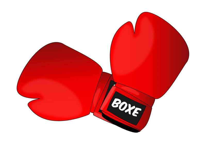 boxing1293088_1280.png