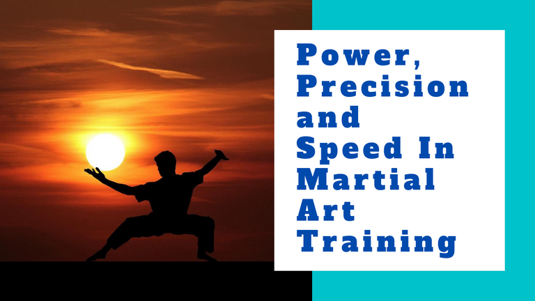 Power, Precision and Speed In Martial Art Training.png