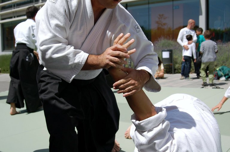 Grabbing and locking techniques for self defense.jpg