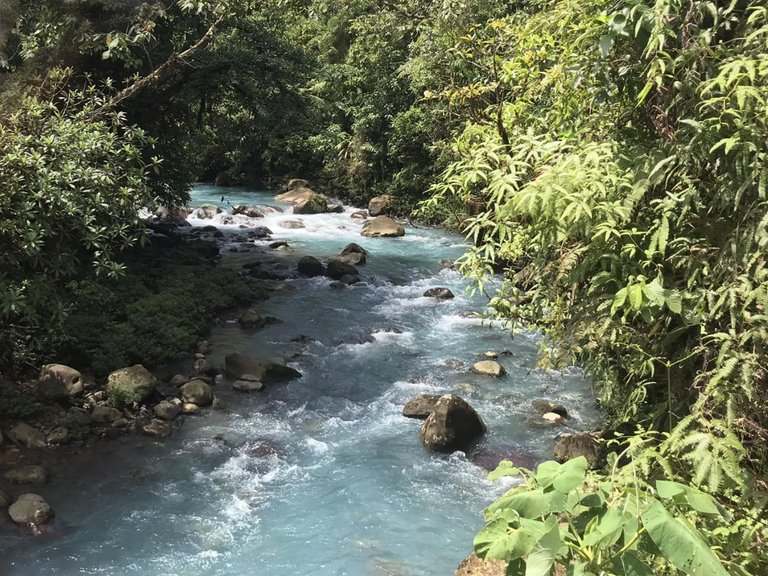 Rio Celeste blue water.jpg