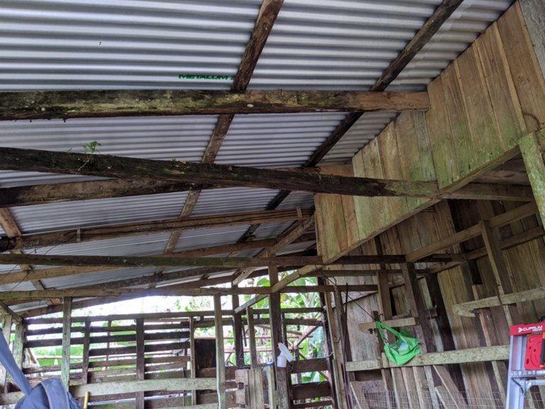 the new barn roof from the inside.jpg