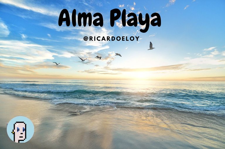 Alma Playa.jpg