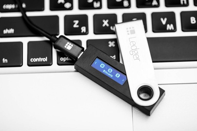 Ledger photo.jpg