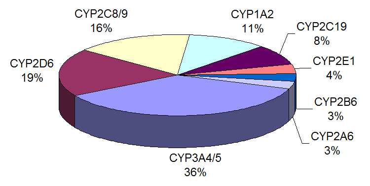 Proportion_of_drugs_metabolized_by_different_CYPs.png