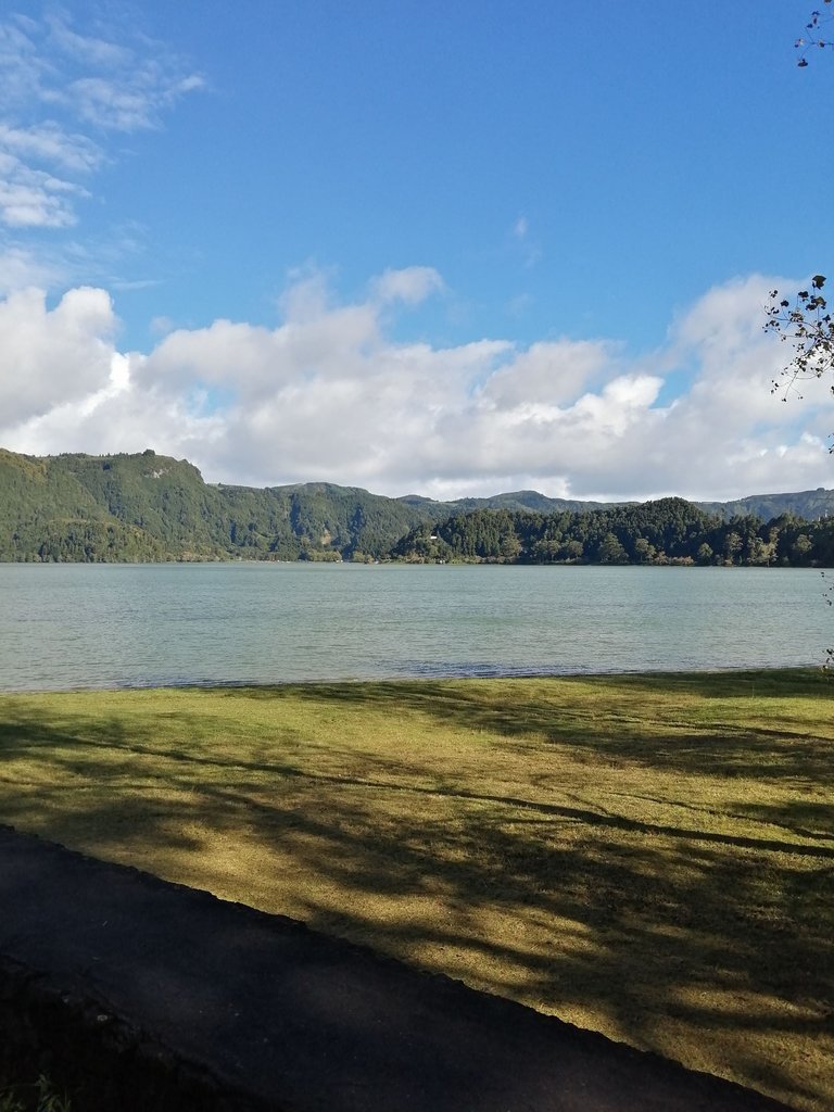 IMG_20221018_103952.jpg