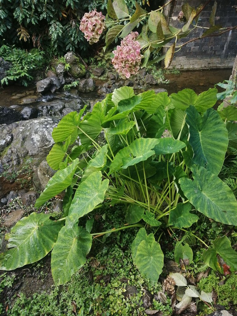 IMG_20221019_093448.jpg