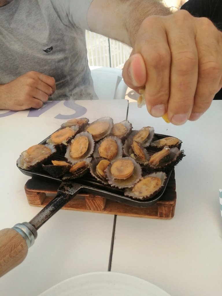 IMG_20250616_124004.jpg