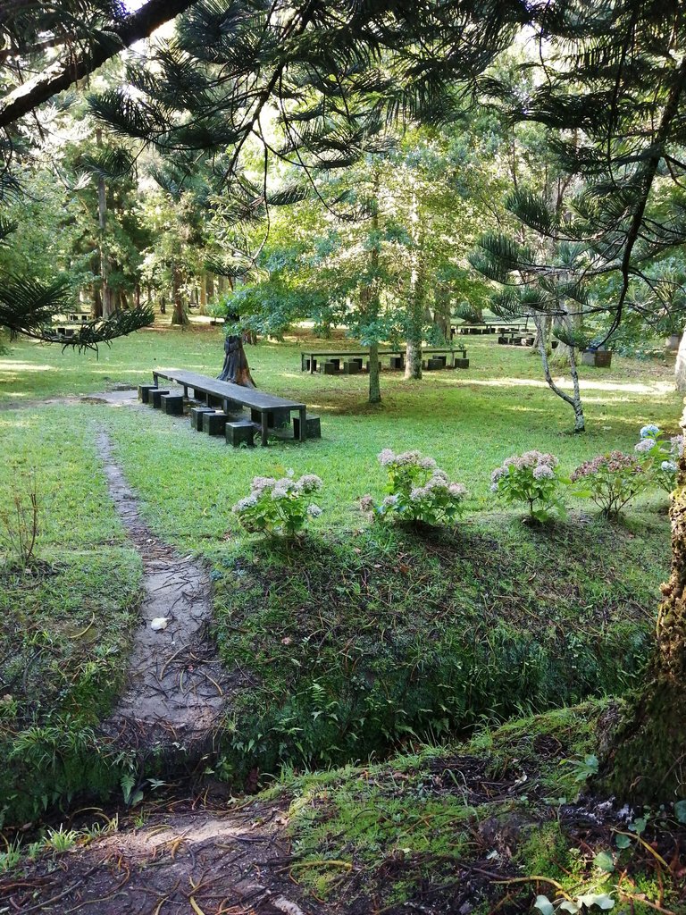 IMG_20221018_103436.jpg