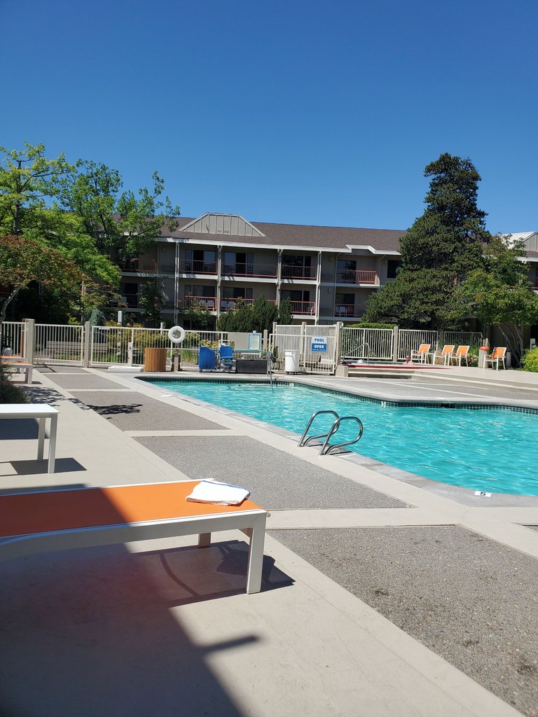 pool - 3.jpg