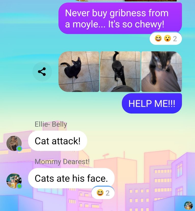 cat complaint 1.jpg
