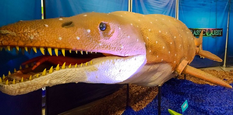 jq weird huge fish with teeth.jpeg