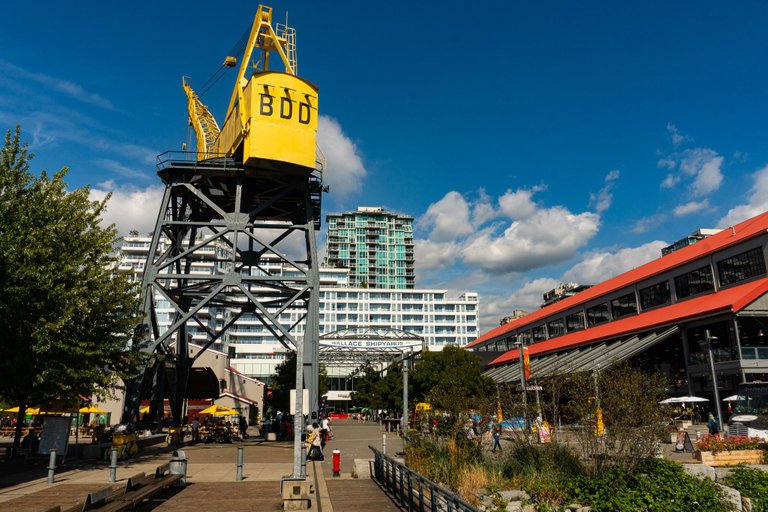 Wallace Shipyards Crane