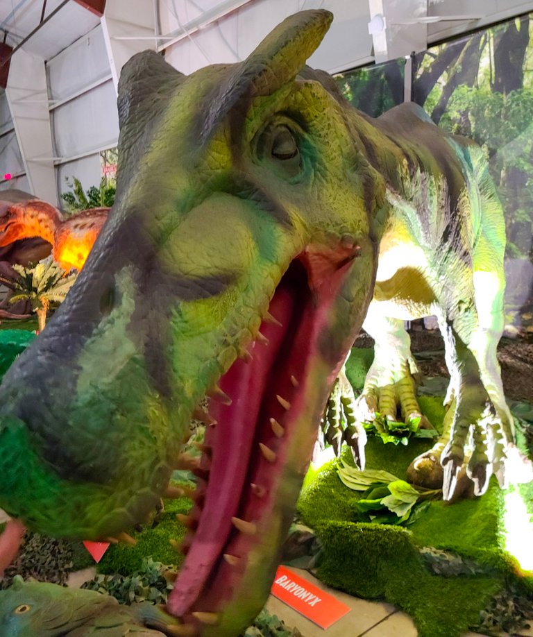 jq dino.jpeg