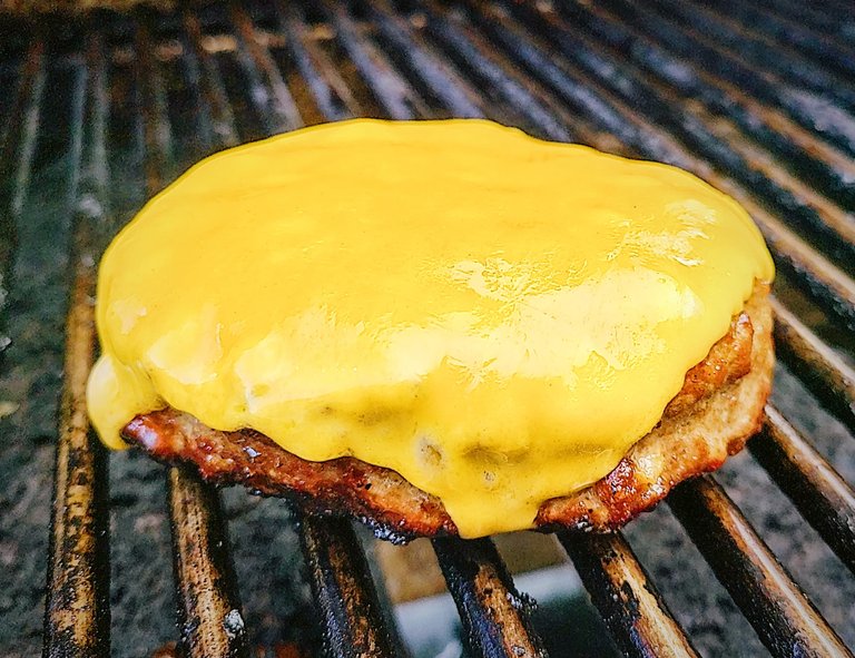 pattie with cheese on bbq.jpeg