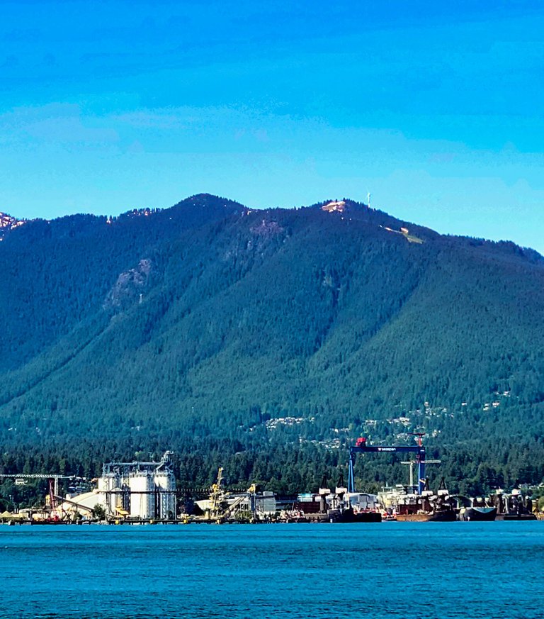 grouse mountain from the port.jpeg