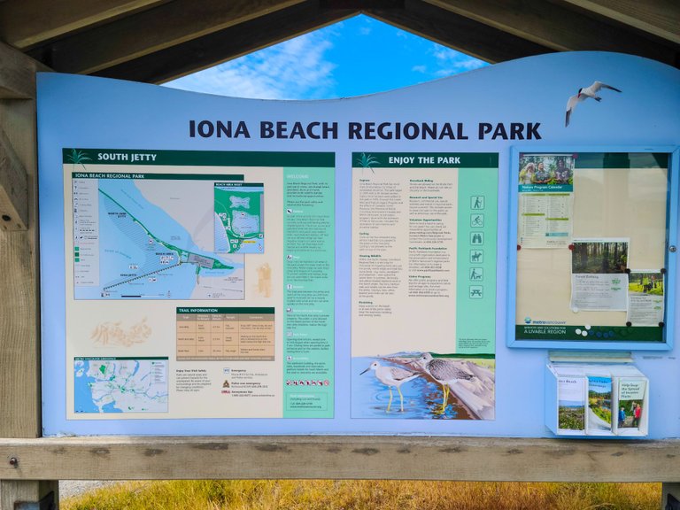 iona beach board.jpeg