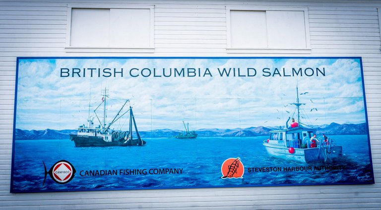 salmon mural.jpeg