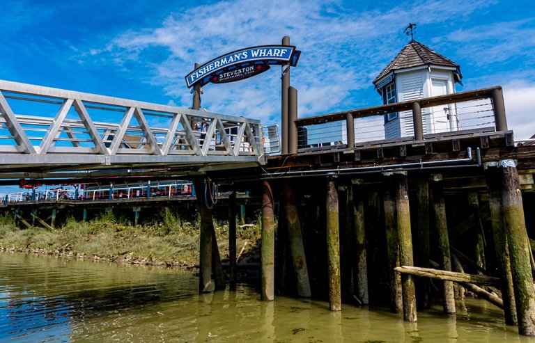 Fish wharf from low dock.jpeg