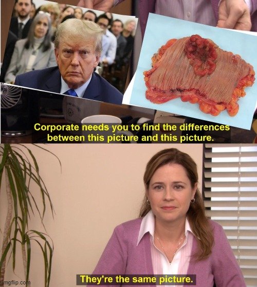 1-trump-3.jpg