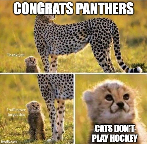 panthers.jpg