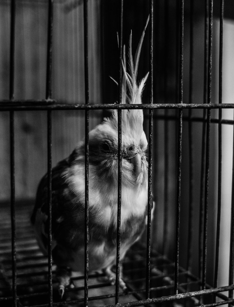 DSC_9870.jpeg