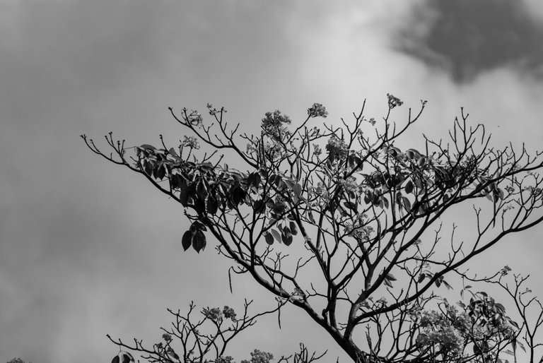 DSC_9606.jpeg