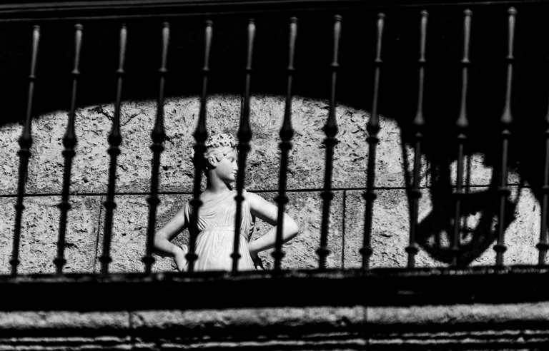 DSC_9197.jpeg